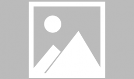 国产精品久久久久久一级毛片,揭秘久久久久久一级毛片的魅力与影响